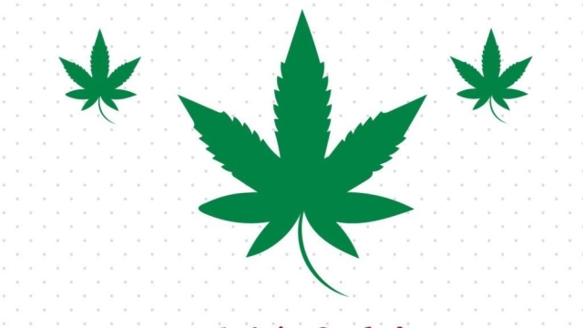 The High Life: Exploring the Buzz around Marijuana