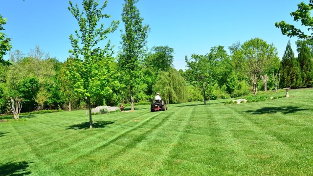 Transforming Spaces: The Art of Commercial Landscaping