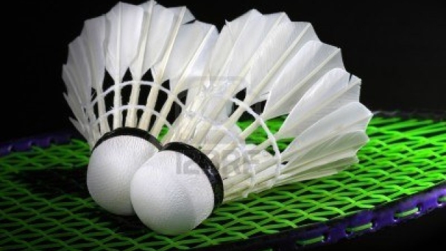 Smash your way to Badminton Success: Unleashing the Power of the Shuttlecock