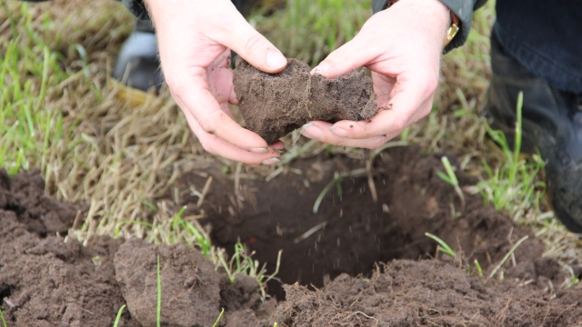 The Green Thumb’s Guide to Growing in Organic Soils