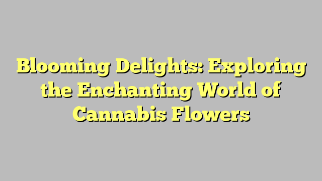 Blooming Delights: Exploring the Enchanting World of Cannabis Flowers