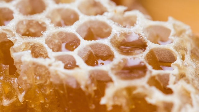 Buzzing with Danger: The Surprising Secrets of Mad Honey