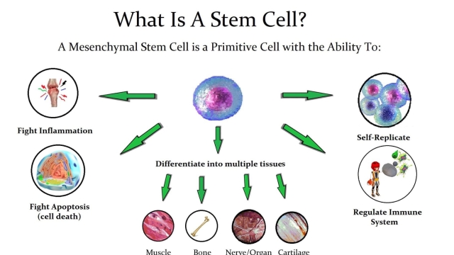 Unleashing the Healing Power: Exploring the World of Stem Cell Therapy