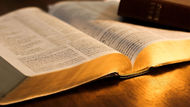 Bible Study 101: Unleashing the Power of Scripture