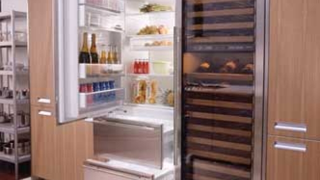 Cooler Than Cool: Exploring Sub-Zero Appliances and Freezers