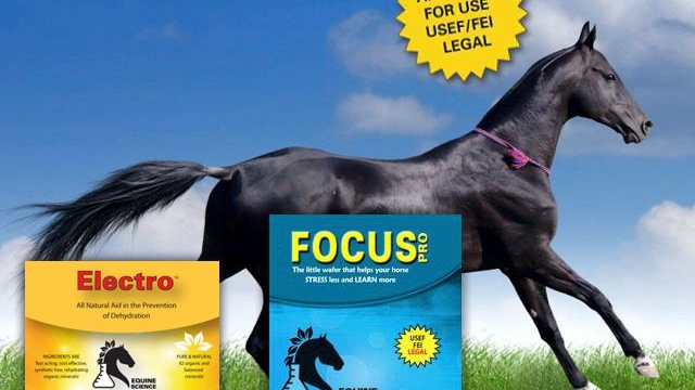 Boosting Equine Vitality: Unveiling the Power of Horse Health Supplements