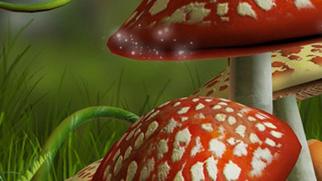 Unleashing the Magic: A Beginner’s Guide to Mushroom Growing