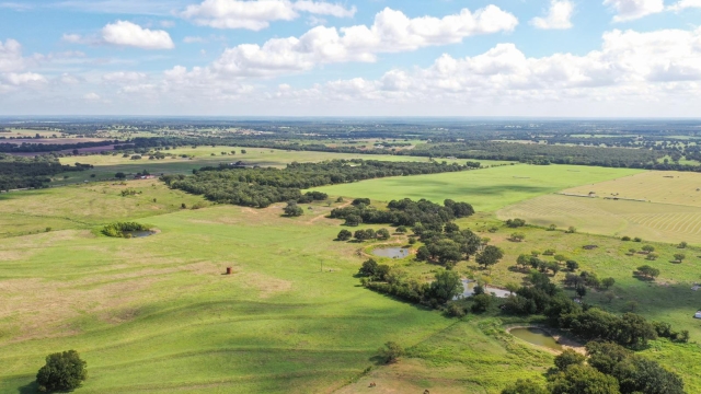 Embracing the Shorelines: Exploring the Coastal Farm Oasis