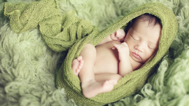 Capturing the Beauty: The Art of Newborn Photography