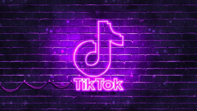 Gaining Fame in Seconds: The TikTok Revolution