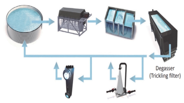 Revolutionizing the Blue: Innovations in Aquaculture Technology