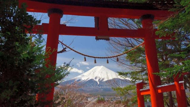 Whispers of the Kami: Exploring the Enchantment of Shinto Shrines in Japan